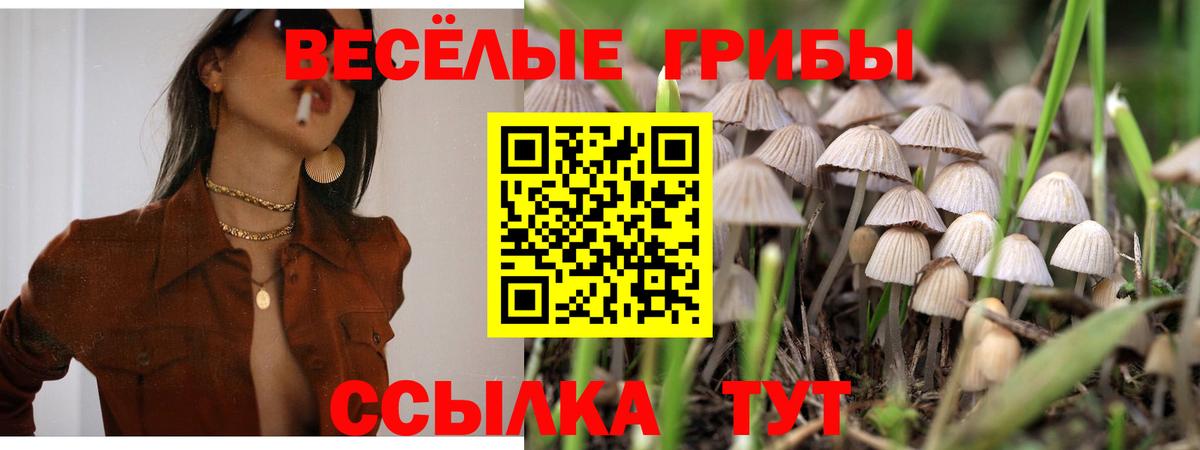 Псилоцибиновые грибы GOLDEN TEACHER  Вход с VPN  Чусовой  Псилоцибиновые грибы мухоморы 